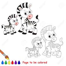 The plains zebra, the mountain zebra, and the grévy's zebra. Zebra And Her Baby To Be Colored Coloring Book To Educate Kids Royalty Free Cliparts Vectors And Stock Illustration Image 60596554