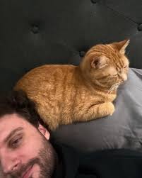 Haven't posted in 6 months, here's what's going