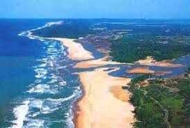 Coral Reef Estuary Ecosystems Aquatic Ecosystem