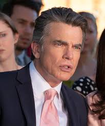 Who Plays In Andy Samberg Palm Springs Movie On Hulu?