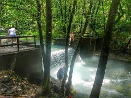 Althea Spring Dawt Township Mo Estimated Drive Time 3 Hours 44 Minutes Directions Here Althea Spring Is A S Life Is An Adventure Beautiful Spots Swimming