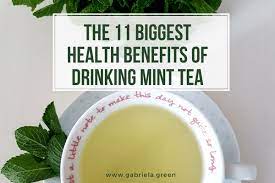First introduced with 99 bananas in 1997, the brand now includes an extensive array of flavors that continues to grow. The 11 Biggest Health Benefits Of Drinking Mint Tea Gabriela Green
