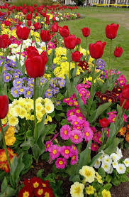 6 Tips For A Better Spring Flower Garden Spring Garden Flowers Flower Garden Design Beautiful Flowers