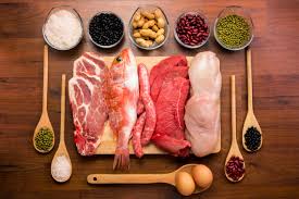 Why is protein important for weight loss?