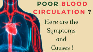 Poor circulation can cause pain in the legs, feet, arms, and hands. Poor Blood Circulation Symptoms And Causes