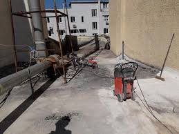 Image result for Monosis