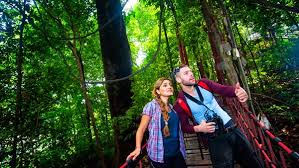 Hotels near kuala lumpur intl airport (kul) hotels near sultan abdul aziz shah airport (szb) motels near sultan abdul aziz shah airport (szb) motels near kuala outdoor activities in rawang. Kl Forest Eco Park Visit Selangor