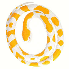 The yellow snakes could be featured in many different ways, however, this snake itself is related to your own intelligence and inner wisdom. Wild Republic 20769 Albino Python Rubber Snake Yellow White 117 Cm Buy Online In Angola At Angola Desertcart Com Productid 54267207