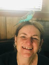 For The Love of Budgies