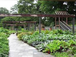 This Is A Great Article On Herbal Tea Gardens And Herb Garden Design Description From Gardendesignideas Herb Garden Design Kitchen Garden Plants Edible Garden