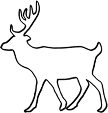 Look for events, drills, and other activities involving our team. State Mammals