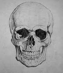 How To Draw A Skull By Howtodrawitall On Deviantart Skull Drawing Skulls Drawing Skull Art
