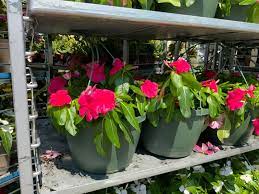 We did not find results for: Filanowski Farms Home Facebook