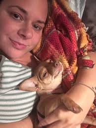 Does your dog sleep with eyes half-open?