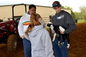 4 h helps young man share love of