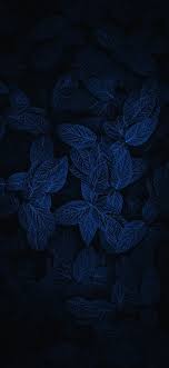 Dark Leafs Amoled Wallpaper 10802340 In 2020 Wallpaper Downloads Mobile Wallpaper Wallpaper