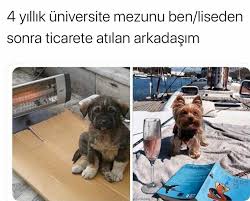 Cliff Asnr Adli Kullanicinin Egleniyoruz Iste Shchshzhdhdhd Panosundaki Pin 2020 Komik Seyler Komik Komik Capsler