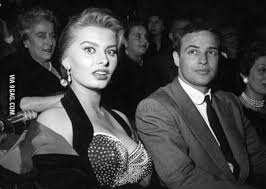 ˈlɔːren) is an italian actress. Young Sophia Loren Looks Exactly Like Margot Robbie 9gag