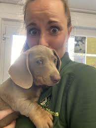 Kirsty Ogborne is fundraising for Animals in Distress (Torbay and  Westcountry)