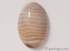 The petrified wood that is easiest to identify has smooth, curvy sections that are often a brownish bark color. Opalized Wood A Petrified Wood Composed Of Common Or Precious Opal