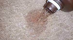 To remove the smell of beer from your car carpet, first vacuum the carpet thoroughly. How To Get Stains Out Of Carpet Homemade Tips 2021