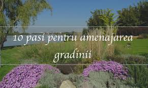 Amenajare curte, poze gradini amenajate, imagini gradini de vis. Cum Se Amenajaza O Gradina Firma Amenajari Gradini Si Spatii Verzi In Bucuresti Si In Tara Naturaldesign Ro