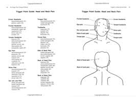 Trigger Point Manual