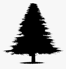 1,000+ vectors, stock photos & psd files. Fir Tree Silhouette Animated Silhouette Christmas Trees Hd Png Download Transparent Png Image Pngitem