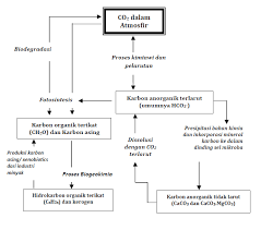 Maybe you would like to learn more about one of these? Siklus Biogeokimia Siklus Hidrologi Siklus Karbon Dan Siklus Nitrogen Pintar Biologi