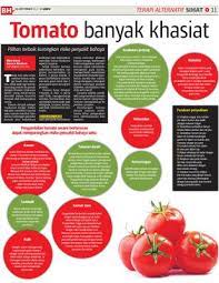 Khasiat si buah tomat yang merona kiblat muslimah. Tomato Banyak Khasiat Klik