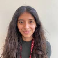 12800+ "Lizama" profiles