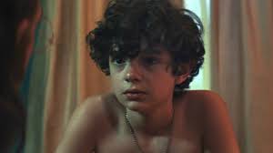 But, two other deeply emotional movies that touch on fatherhood would be a place beyond the pines, and the wrestler. Honey Boy Reviews Metacritic