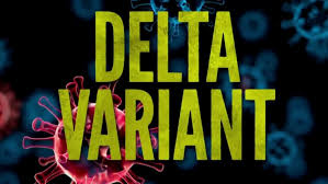 The delta variant was first detected in india in december 2020.from there, it spread across the globe and became the dominant form of the coronavirus in the united kingdom. E5sxsc4t4seppm