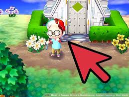 How To Answer Gracies Questions On Animal Crossing Wild World