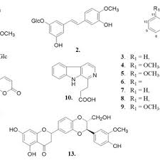 Image result for Brucea antidysenterica