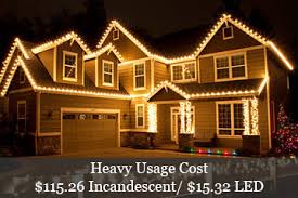 Image result for LED christmas lights styles