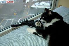 Râurile africii sunt pline de viață, revigorează peisajul și le oferă recompense animalelor care depind de ele pentru supraviețuire. 14 Amuzante Ideas Amuzant Poze Amuzante Imagini Haioase