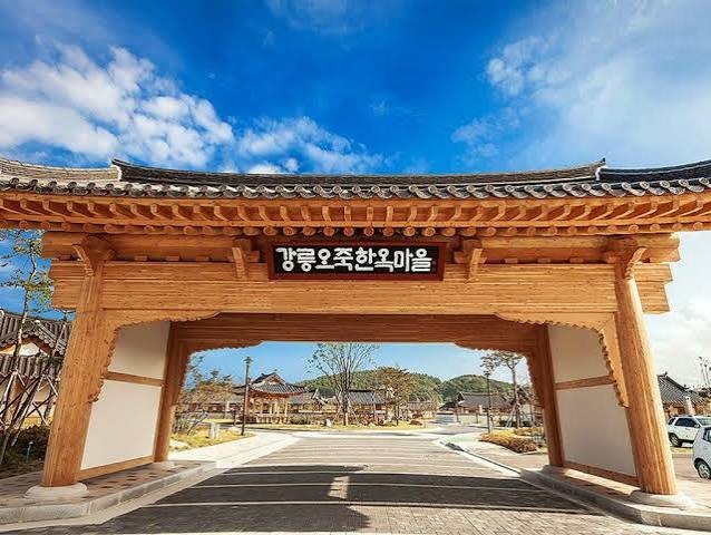 강릉 빵굽는 마을, 오죽 写真 7