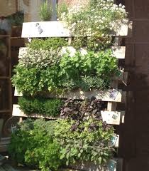 Pallet Herb Garden A Source Of Natural Remedy Pallet Furniture Plans