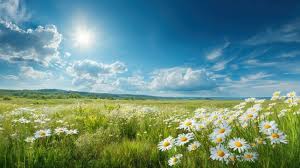 Summer Pictures Images – Browse 10,552,501 Stock Photos, Vectors, and Video  | Adobe Stock