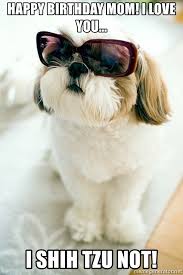 List of funny happy birthday mom memes. Happy Birthday Mom I Love You I Shih Tzu Not Shih Tzu Not Meme Generator