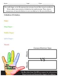 Write the word in the appropriate box. Worksheet Five Fingers Of Evolution By Mattsmithsci Tpt