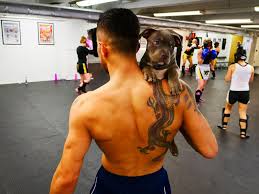 Makwan amirkhani's wikipedia bio provides a detailed glimpse of his career. Ufc Fighter Makwan Amirkhani And His Puppy At The Gym Http Ift Tt 2mzrwqy Ufc Fighter Ufc Puppies