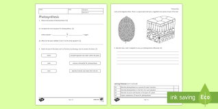 All living things depend on the organic molecules synthesised by plants as a result of _____. Photosynthesis Worksheet Ks3 Biology Resources