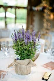 Lavendel Im Topf Provence Flair Fur Zuhause Lavendel Hochzeit Hochzeitstisch Lavendel Im Topf