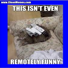 Just like watching funny cat videos, cat memes featuring our favorite felines are just as hilarious. Cat Memes Page 32 Clean Memes