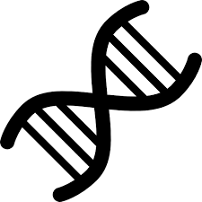 Baixe Codigo Dna Gratuitamente Free Icons Portfolio Design Dna