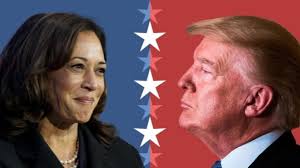 CBNA (@congress_of_bosniaks) • Instagram photos and videos