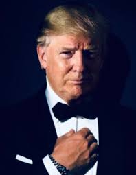 Donna Trafford (@donna_trafford)