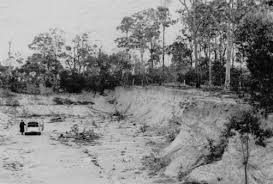 Biography of an archive